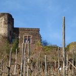 Burg Coraidelstein aus den Weinbergen heraus &copy; Horst Janners, Klotten